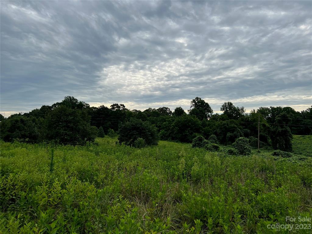 0 Racepath Church Road Mooresboro, NC 28114 - Photo 15 of 15 a view of a grassy field and trees