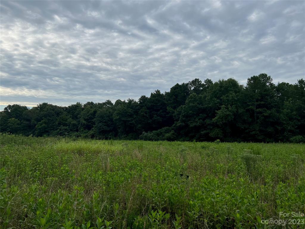 0 Racepath Church Road Mooresboro, NC 28114 - Photo 2 of 15 a view of grassy field with trees
