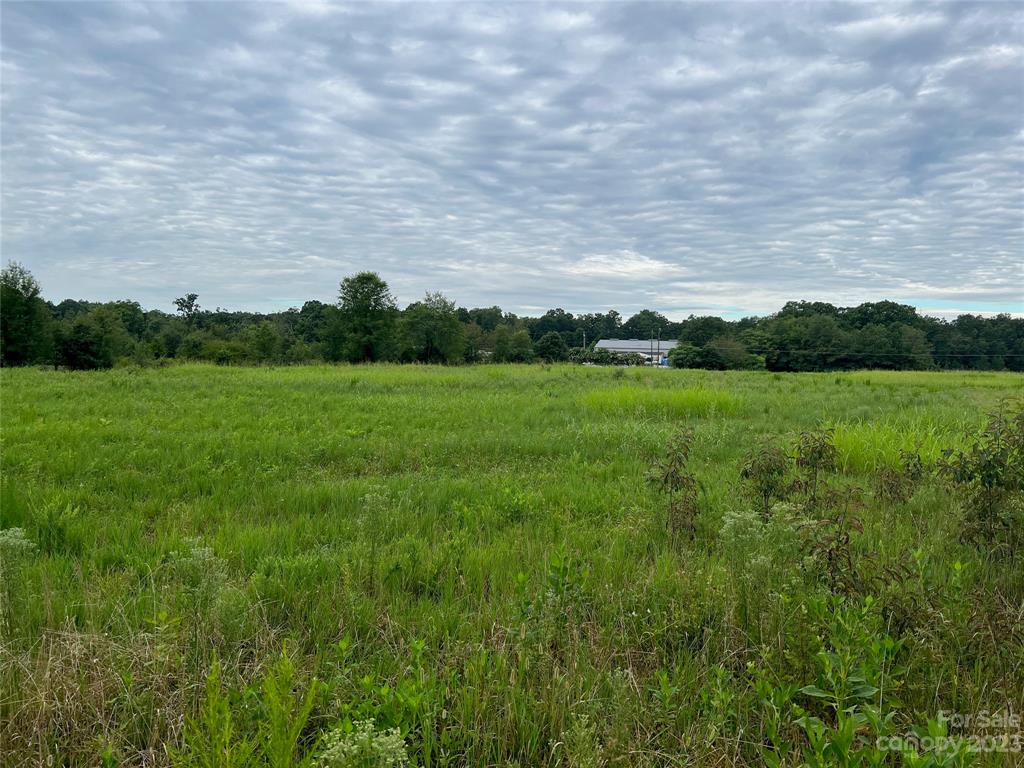 0 Racepath Church Road Mooresboro, NC 28114 - Photo 6 of 15 a view of a big yard with large trees