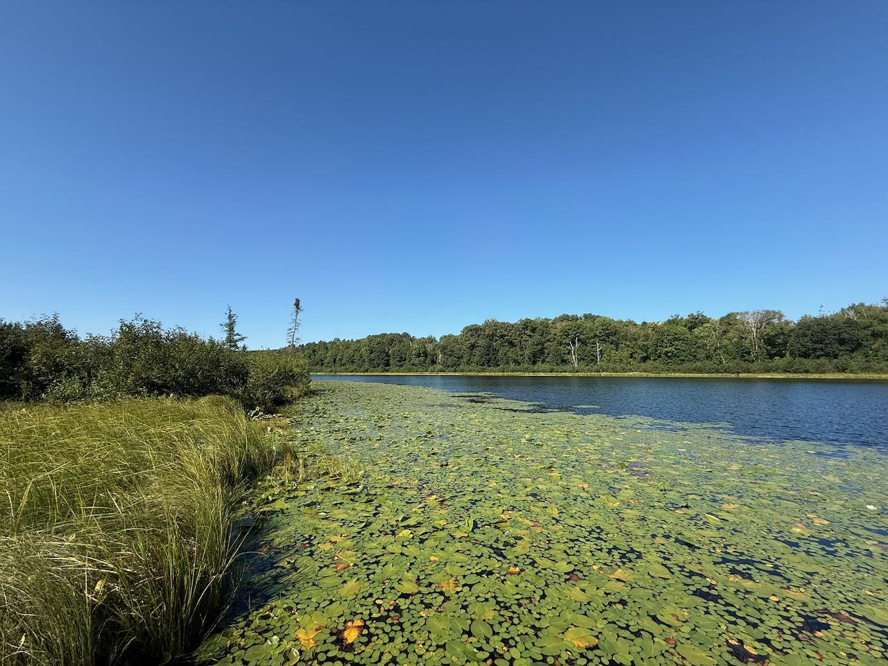 76617 Debbie Ridge Road Willow River, MN 55795 - Photo 12 of 34 Gallery Image 12