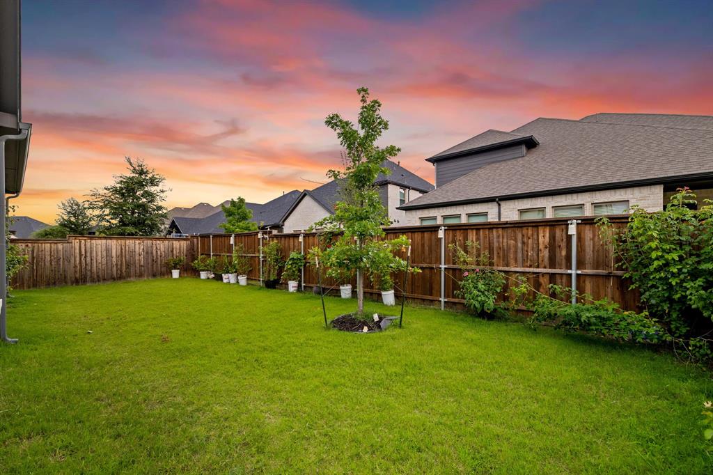 7852 Buffaloberry Road Frisco, TX 75035 - Photo 29 of 36 Expansive rear yard featuring a manicured lawn, a young deciduous tree, and a perimeter wood privacy fence
