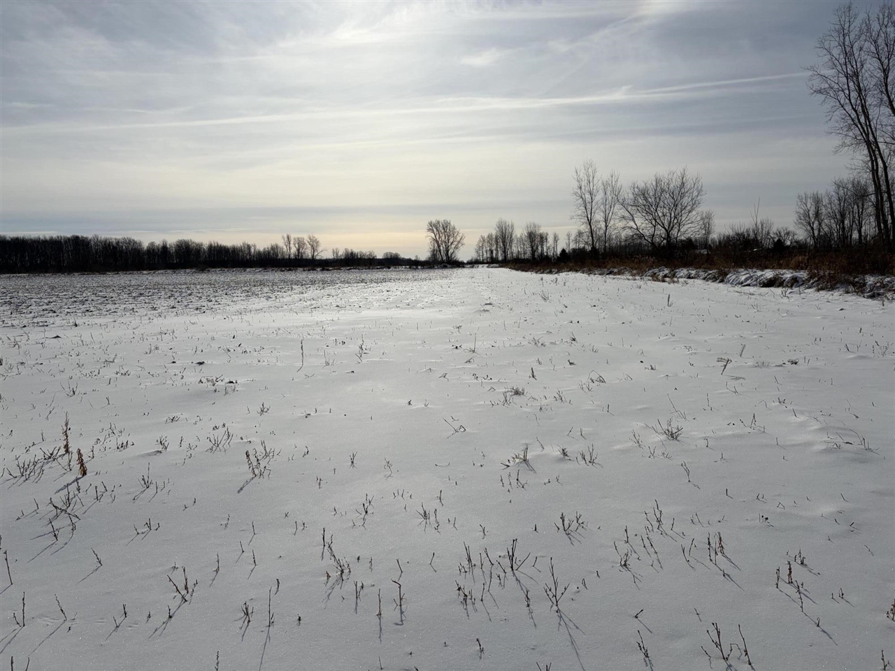 V/l Cade Road Capac, MI 48014 - Photo 44 of 51