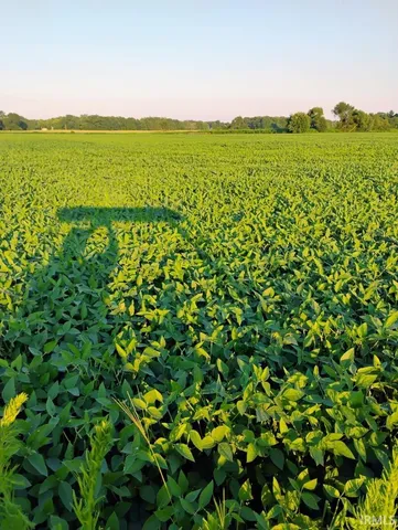 $375,000 | 550n St Grovertown In 46531, Grovertown, IN 46531