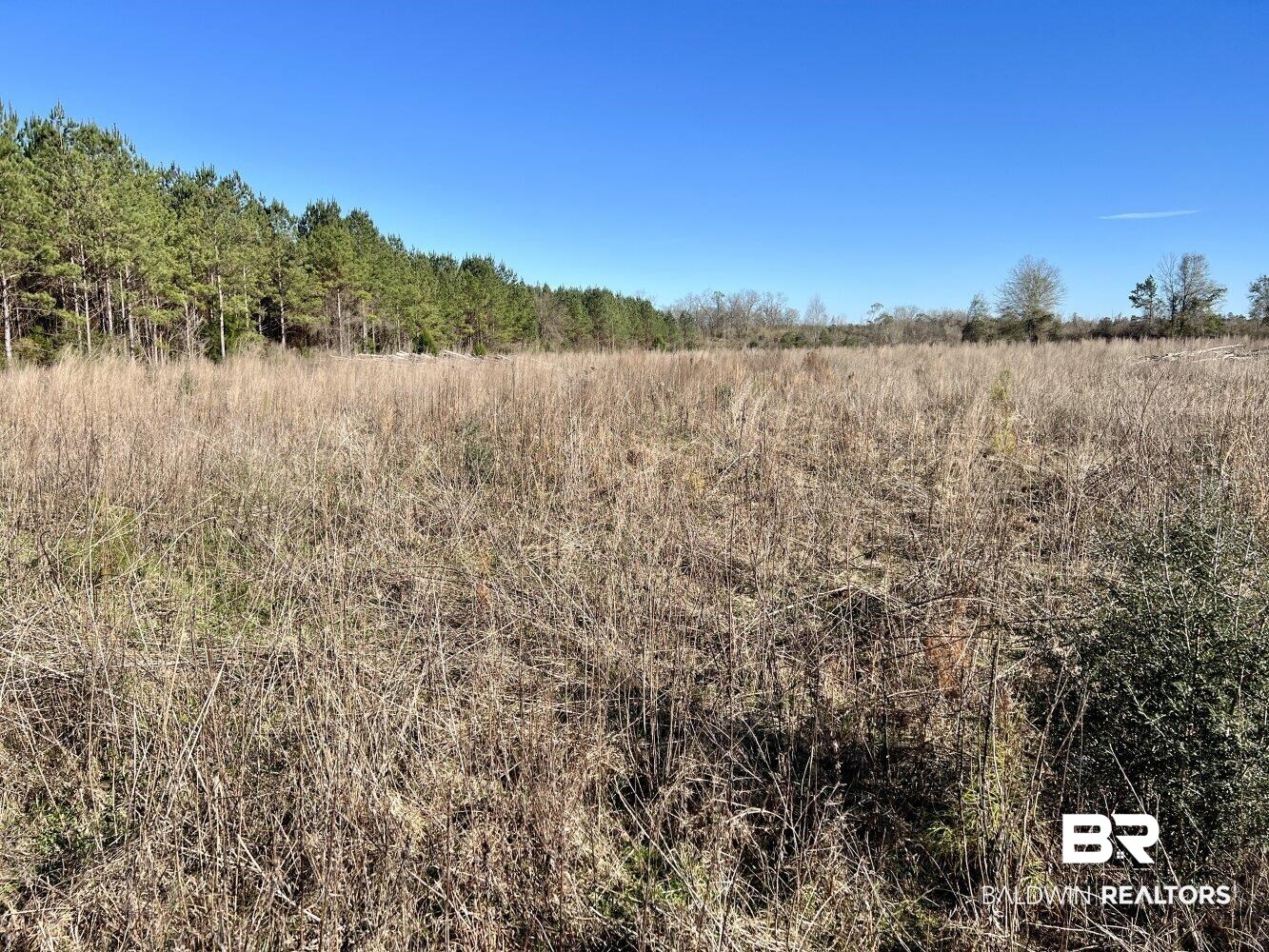0 Highway 84 Evergreen, AL 36401 - Photo 15 of 50