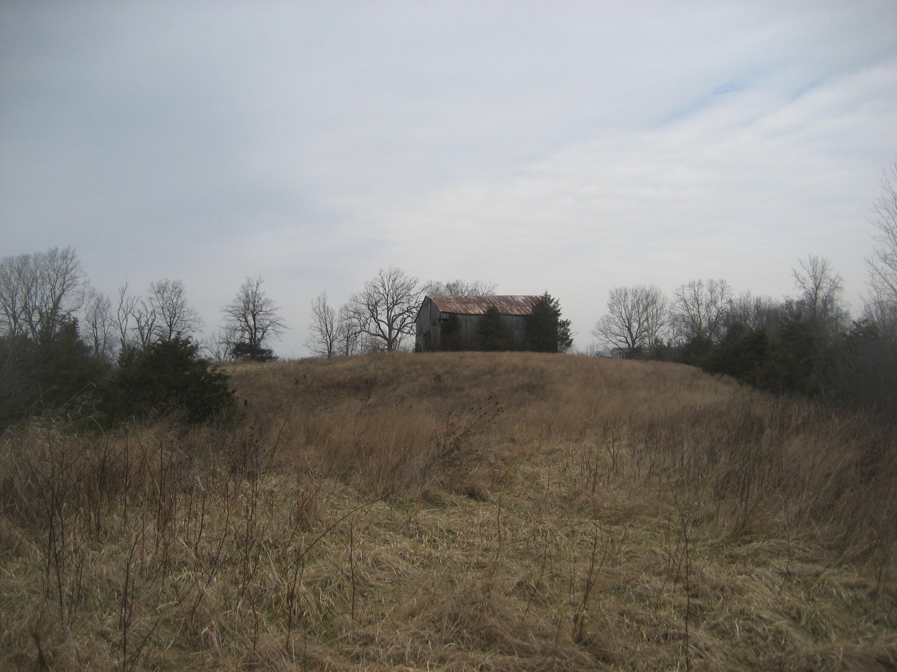 1235 Rutherford School Road Lawrenceburg, KY 40342 - Photo 9 of 31 IMG_1348