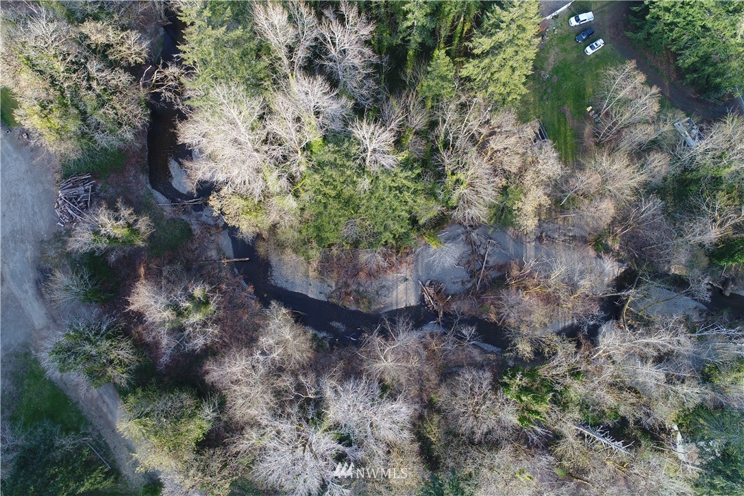 0 Northeast Mission Creek Road Belfair, WA 98528 - Photo 3 of 10 Gallery Image 3
