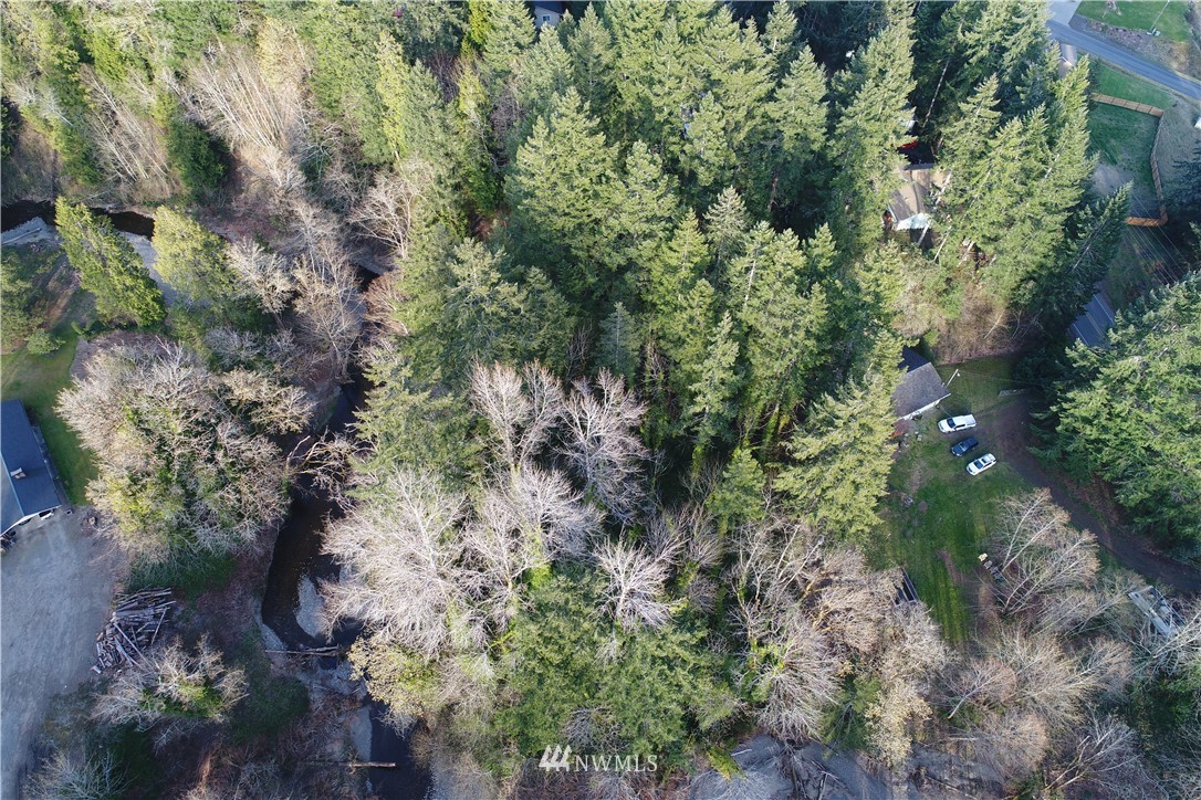 0 Northeast Mission Creek Road Belfair, WA 98528 - Photo 4 of 10 Gallery Image 4