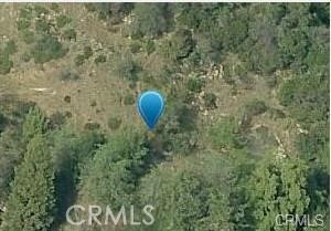 a view of a dry yard