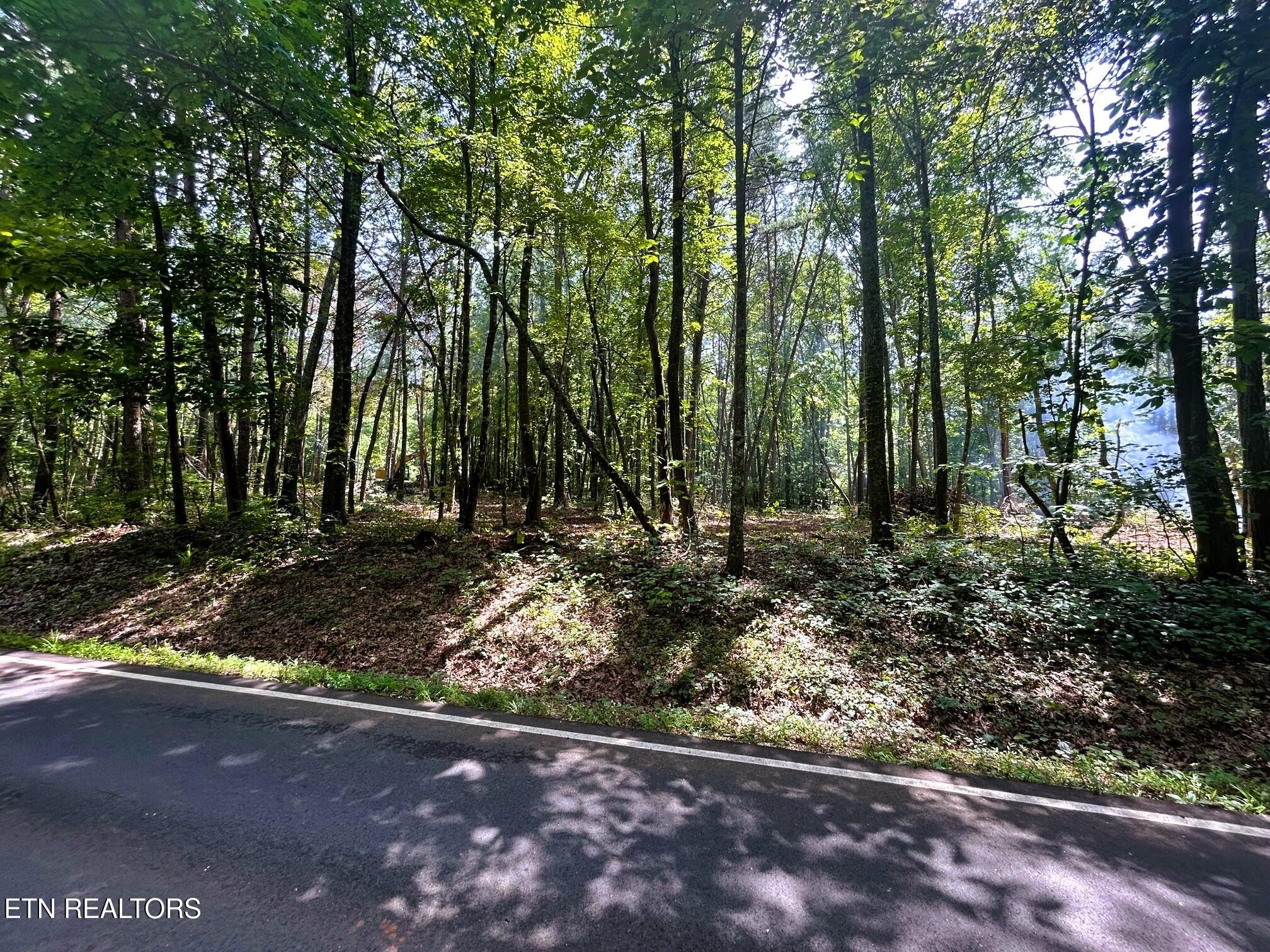 6 Pleasant Hill Road Ten Mile, TN 37880 - Photo 10 of 11