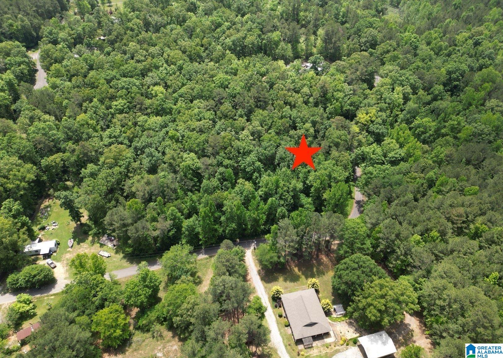 45 Coosa View Lane Riverside, AL 35135 - Photo 5 of 9