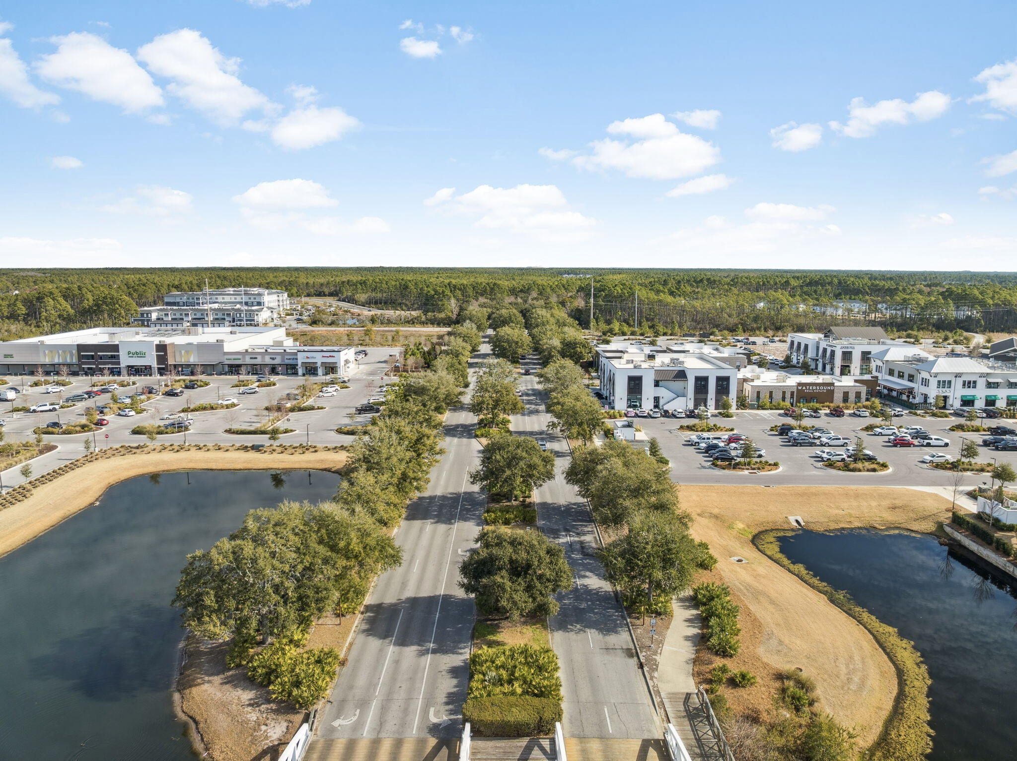 250 Windrow Way Watersound, FL 32461 - Photo 48 of 60 Watersound Origins