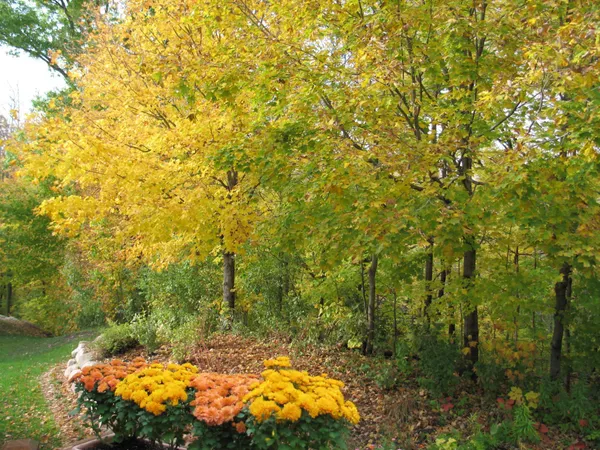 $300,000 | 16506 78th Avenue North, Maple Grove, MN 55311