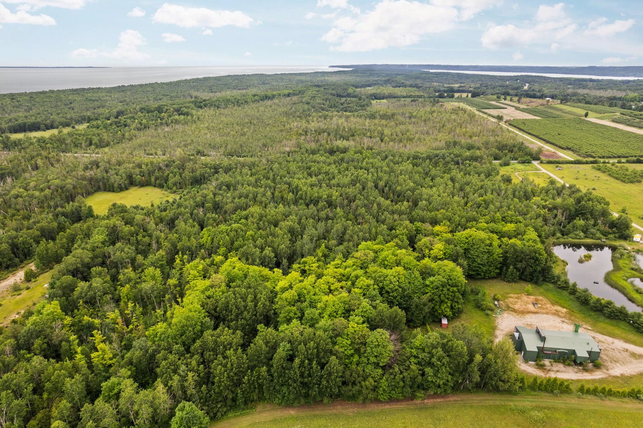 0 Creswell Road Kewadin, MI 49648 - Photo 4 of 16