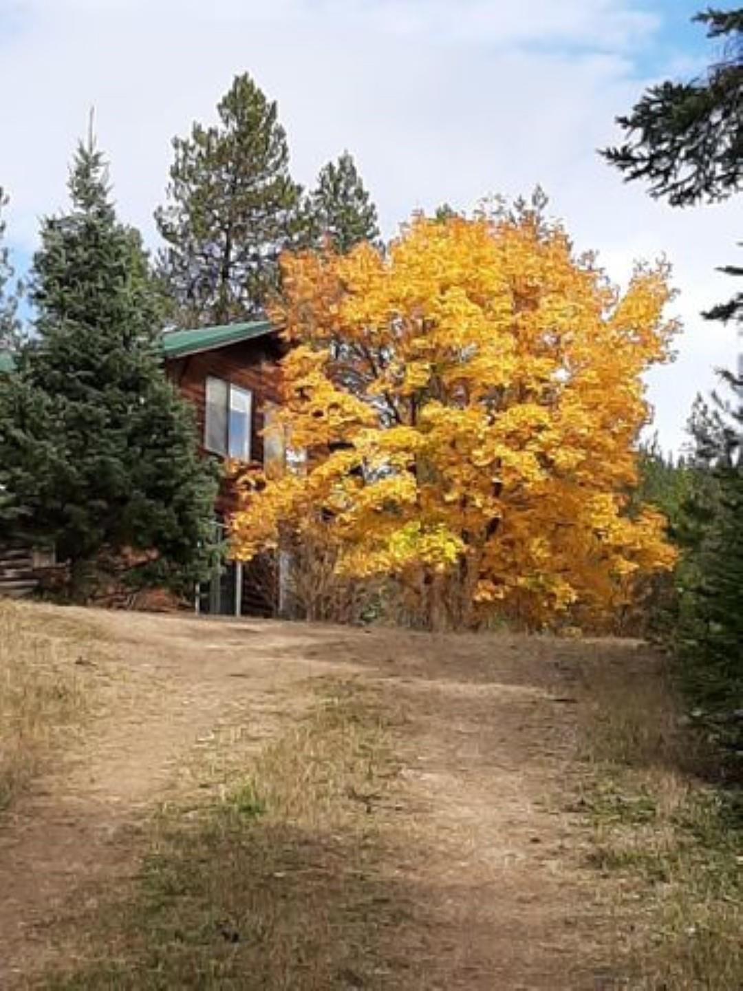 1641 B Bohanan Road Colville, WA 99114 - Photo 1 of 6