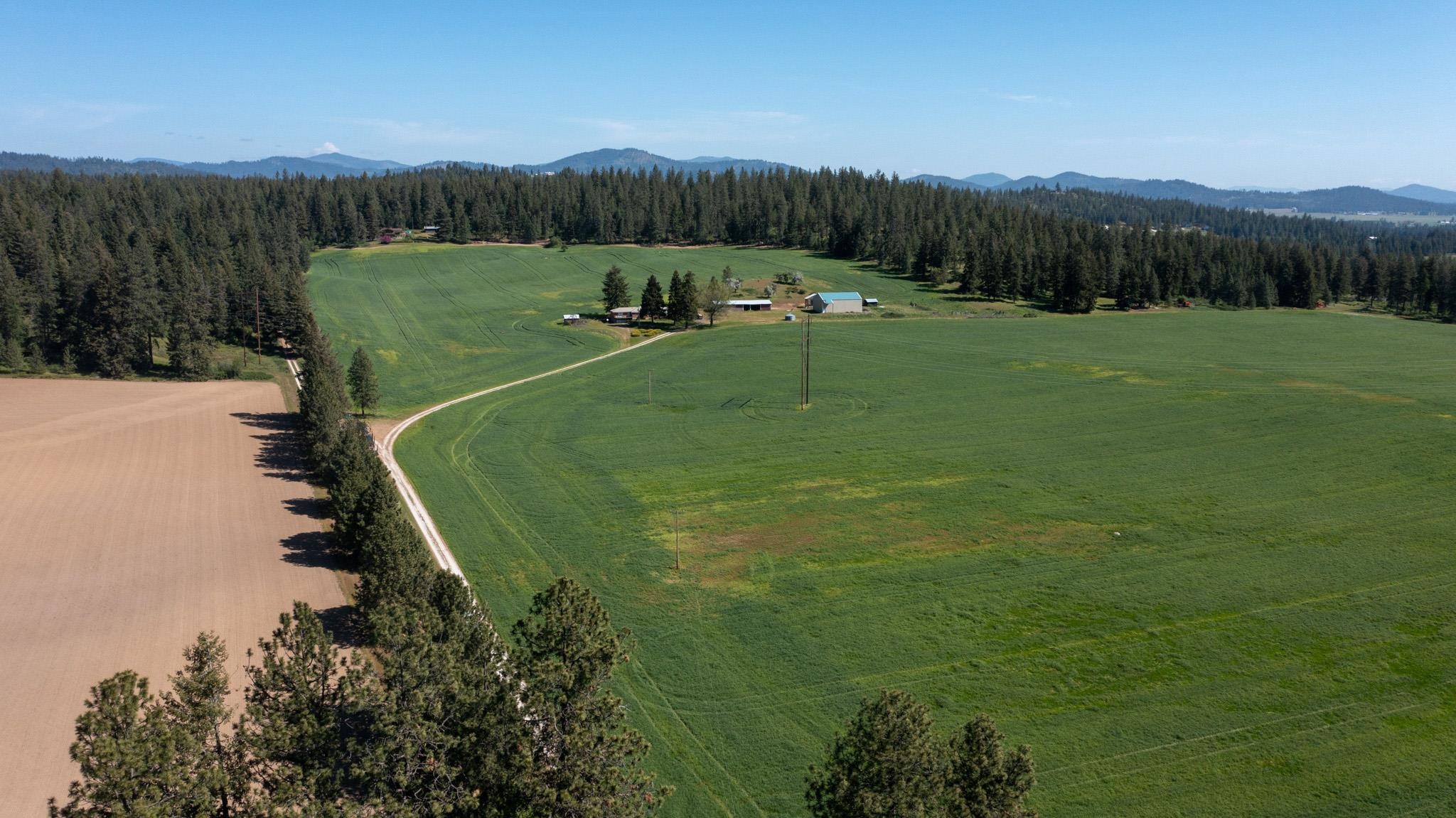 4881 A Carr Road Clayton, WA 99110 - Photo 38 of 44