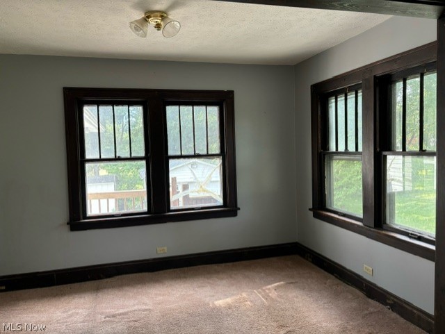 8526 Fosdick Road Cleveland, OH 44125 - Photo 7 of 25 additional living space used as "sun room"