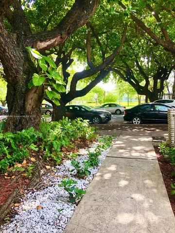 a view of a yard with plants and a large trees