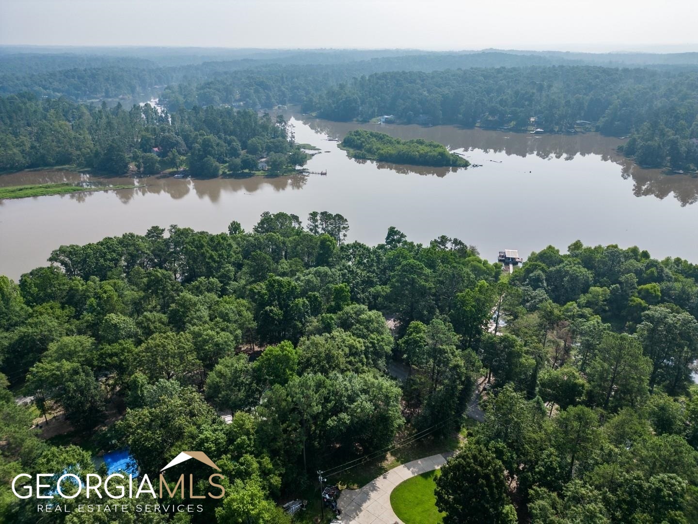 470 Haley Road Jackson, GA 30233 - Photo 12 of 18 a view of a lake in middle of forest