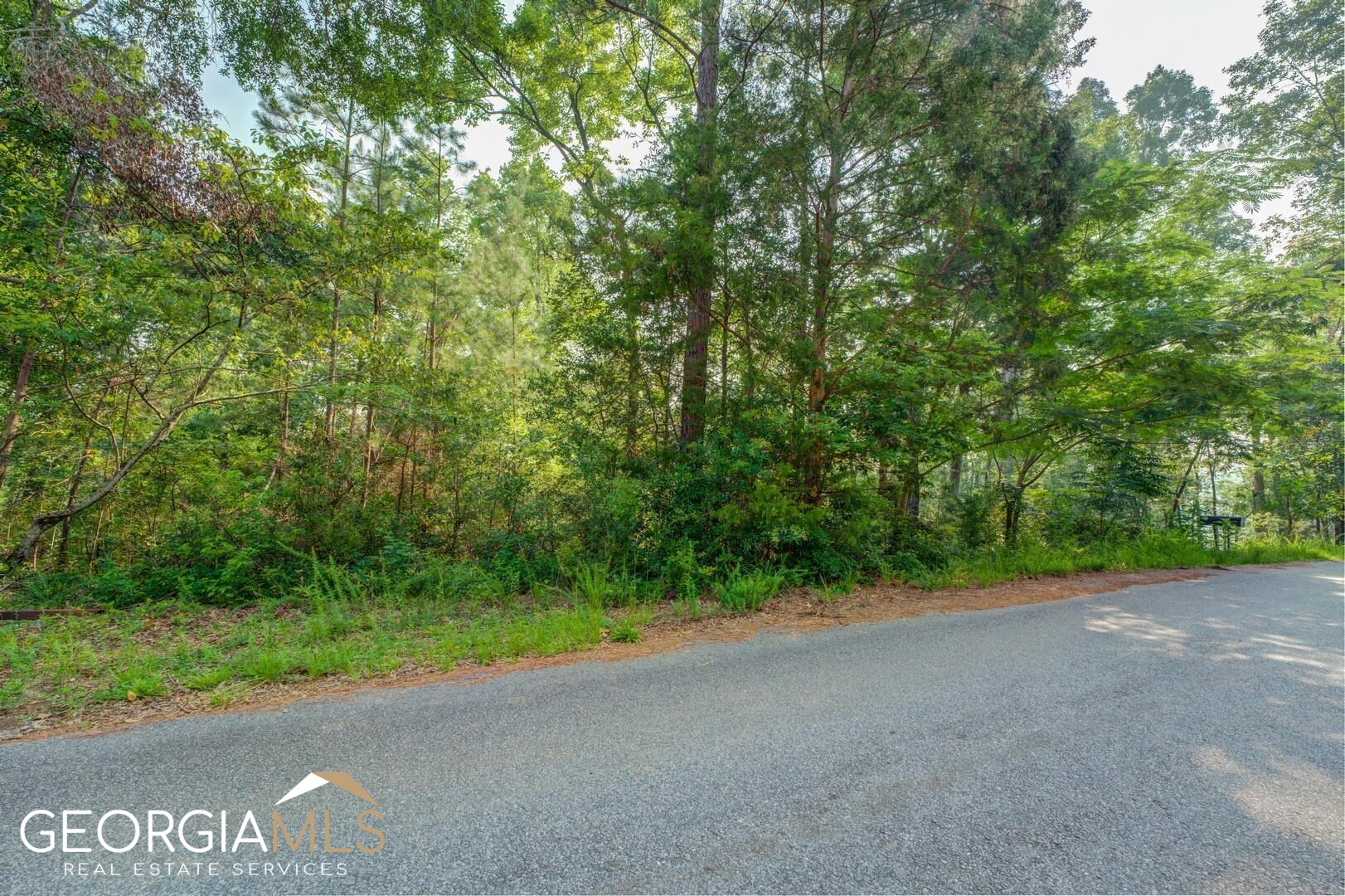 470 Haley Road Jackson, GA 30233 - Photo 13 of 18 a view of a field with a trees