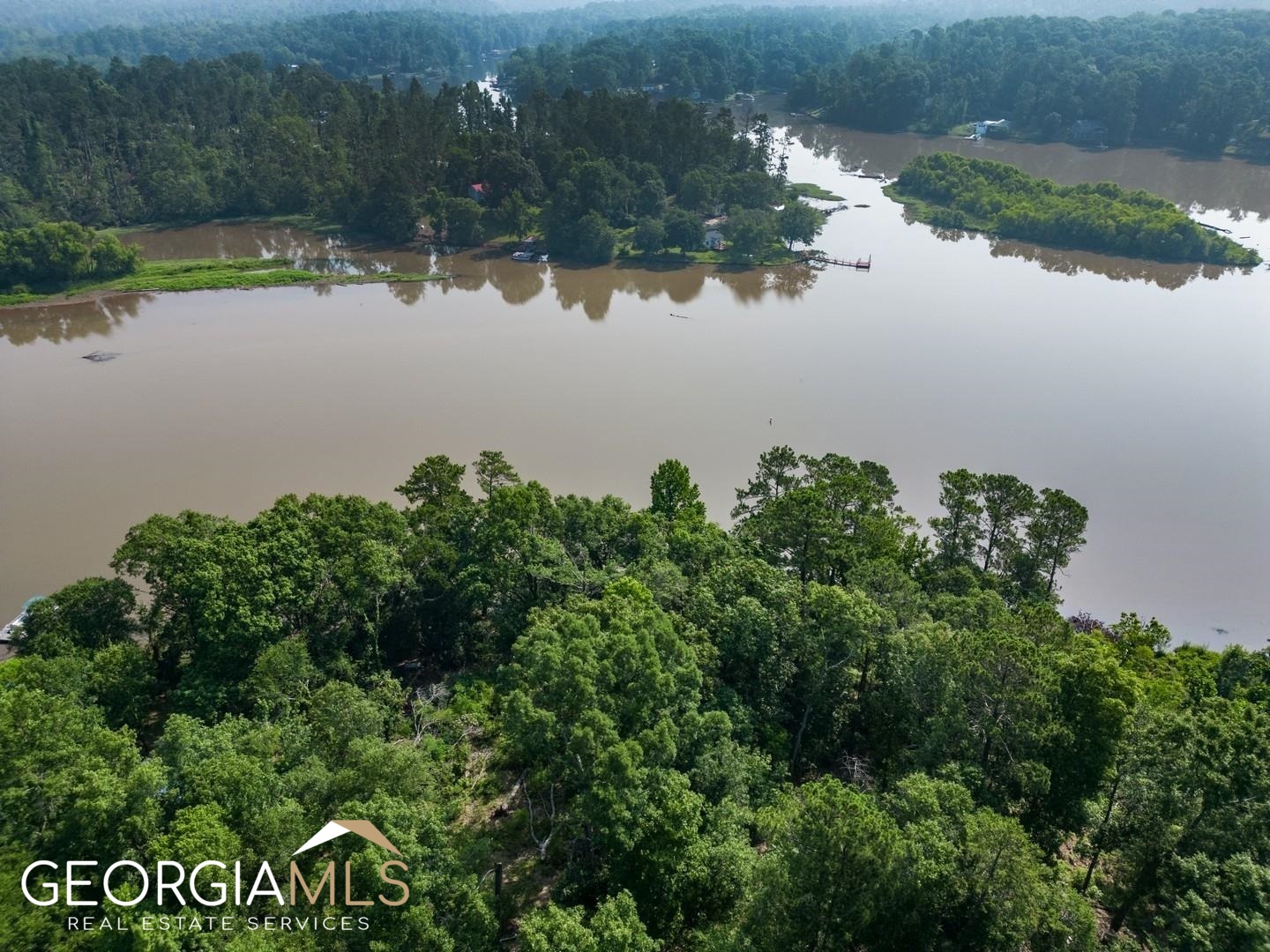 470 Haley Road Jackson, GA 30233 - Photo 16 of 18 an aerial view of a residential houses with lake view