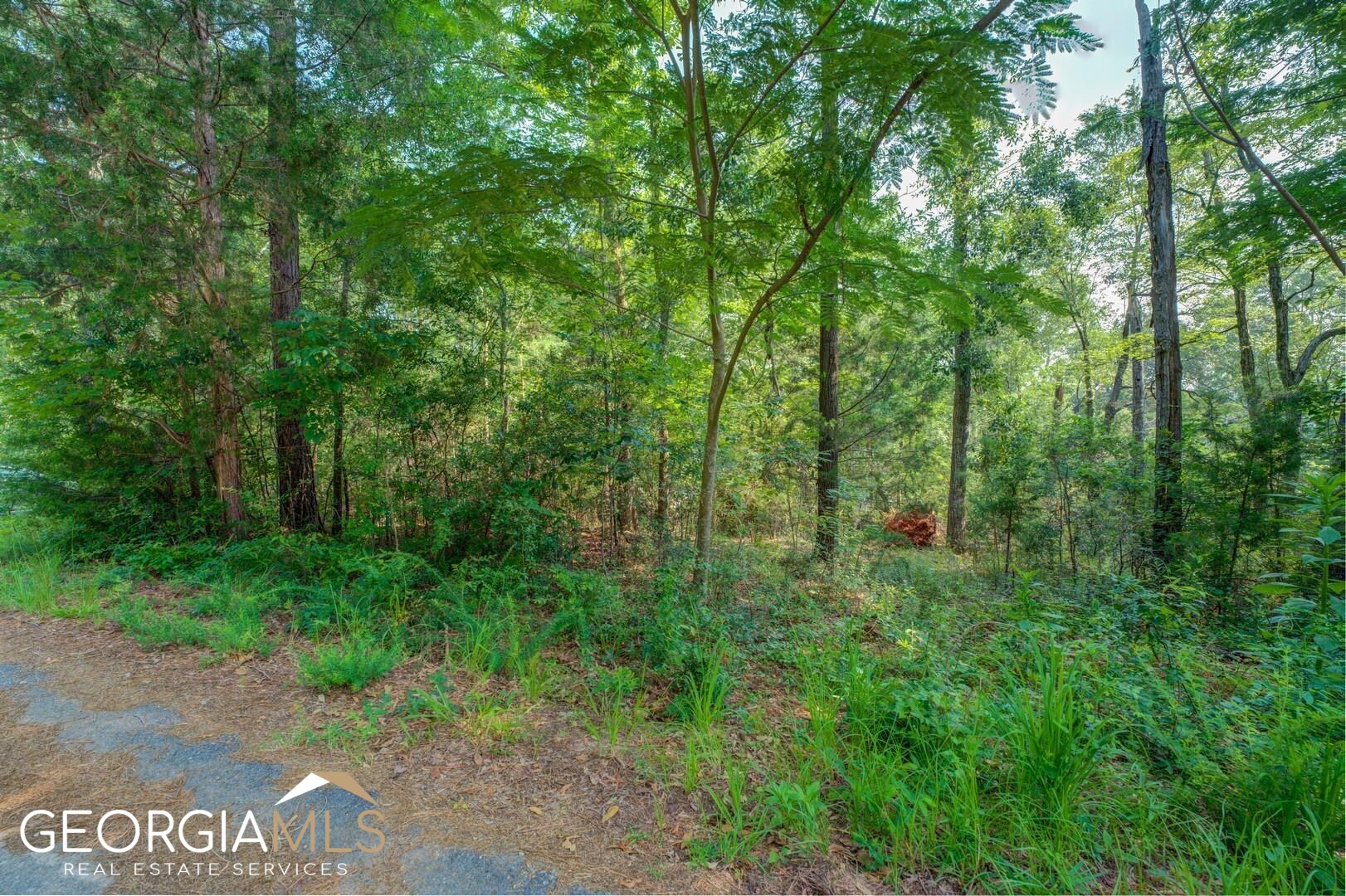 470 Haley Road Jackson, GA 30233 - Photo 5 of 18 a view of a park that has large trees