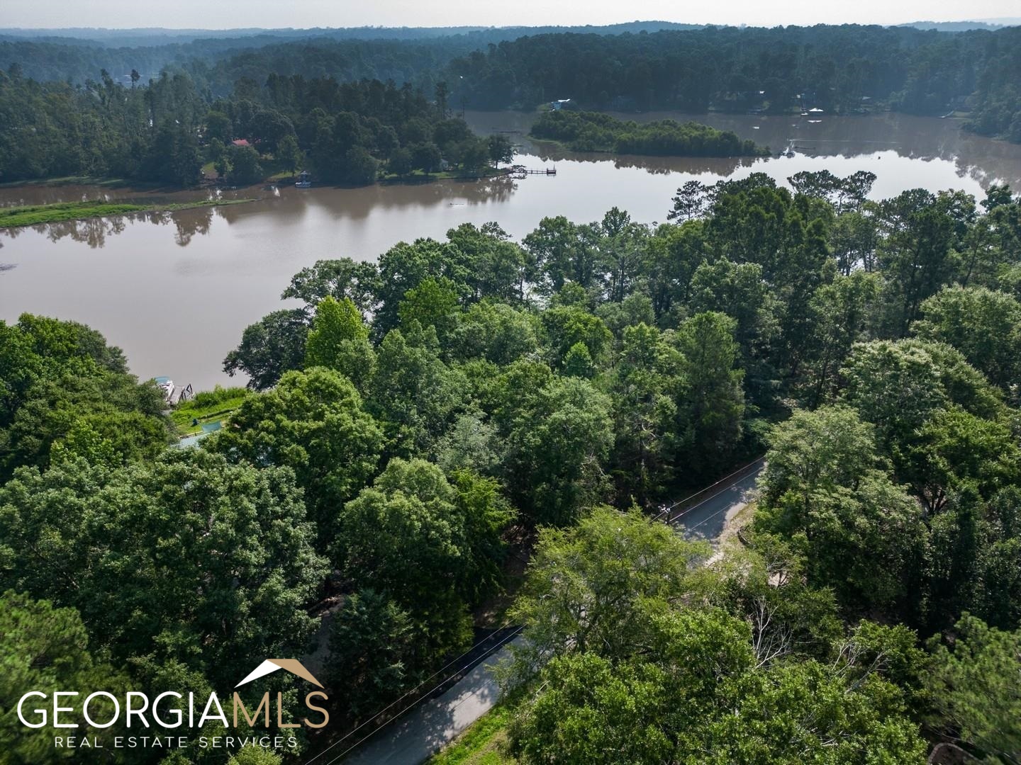 470 Haley Road Jackson, GA 30233 - Photo 10 of 18 a view of a lake from a yard