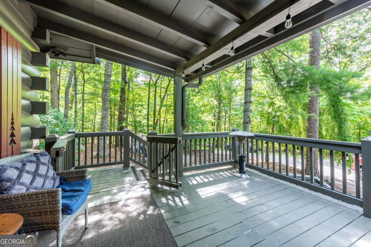 30 Maxwell Lane, Unit 242 Blue Ridge, GA 30513 - Photo 33 of 50
