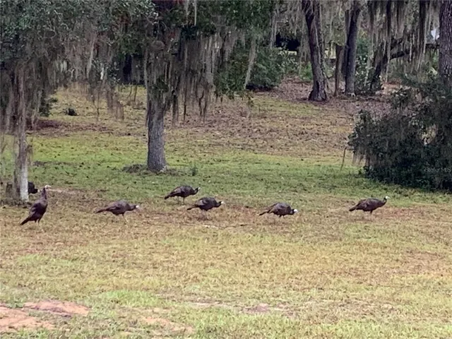 $370,000 | 24605 Northeast 177th Terrace, Fort McCoy, FL 32134