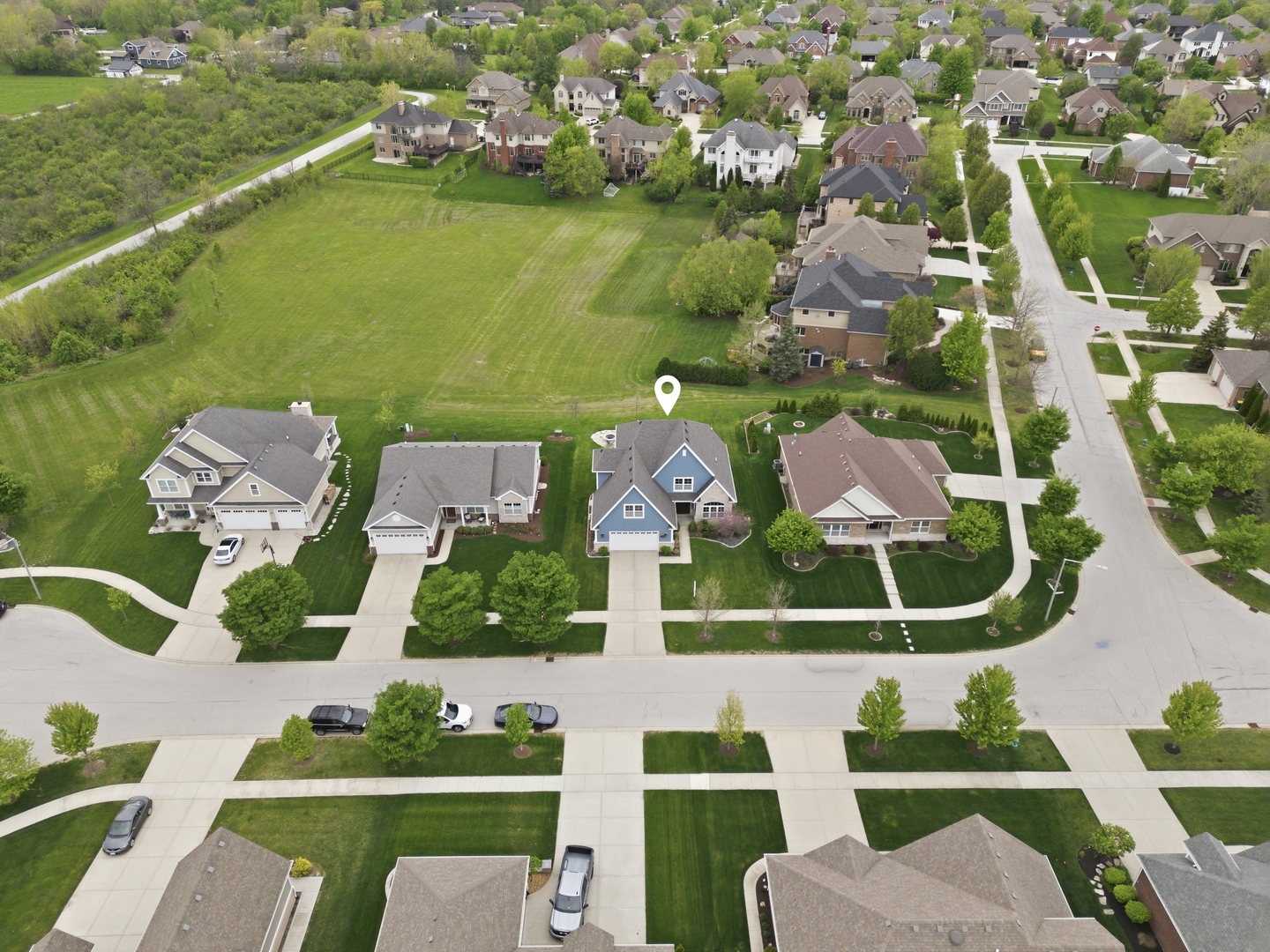 13042 Birch Path Court Lemont, IL 60439 - Photo 49 of 53