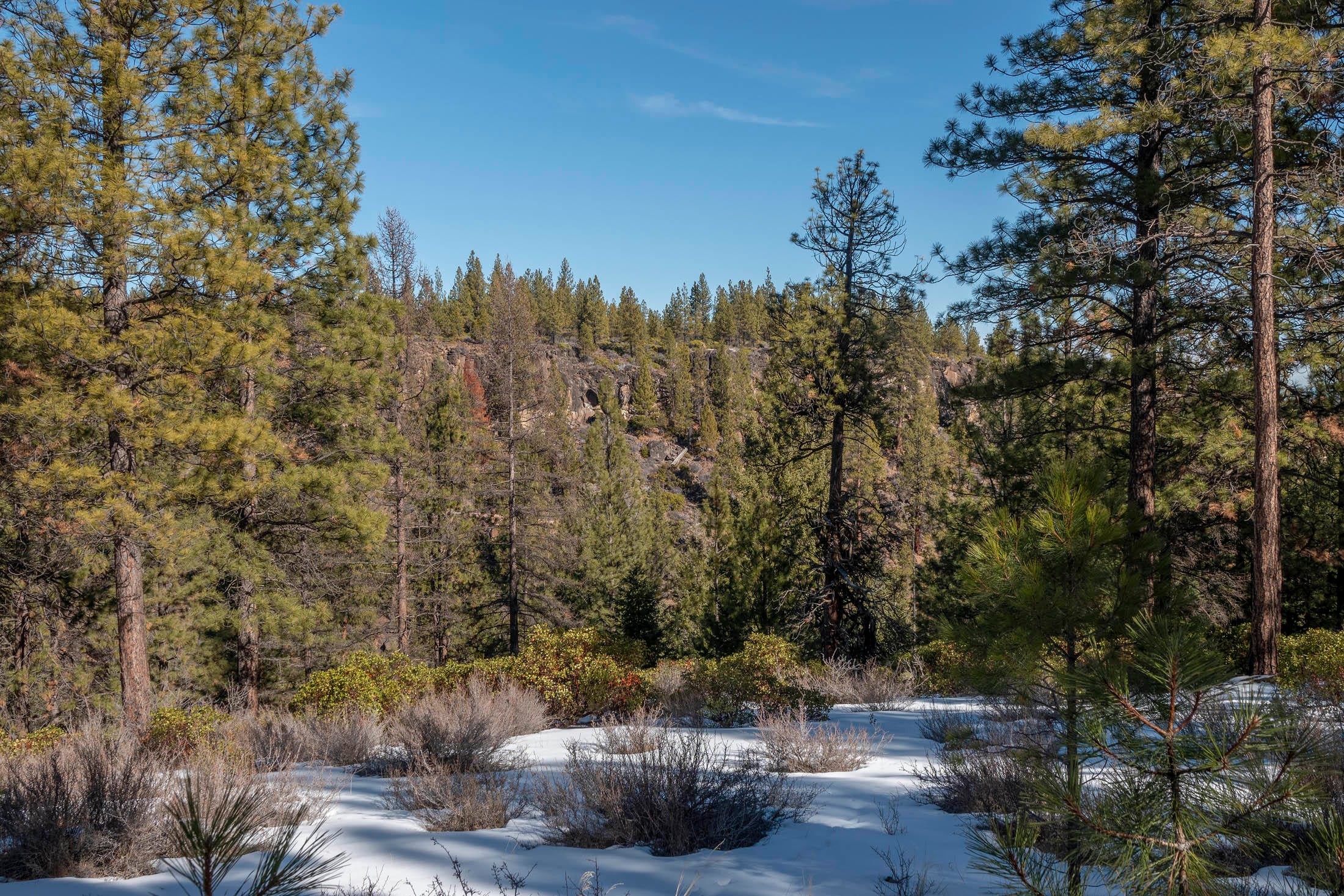 18045 Skyliners Road Bend, OR 97703 - Photo 5 of 27 5-Est N view to canyon