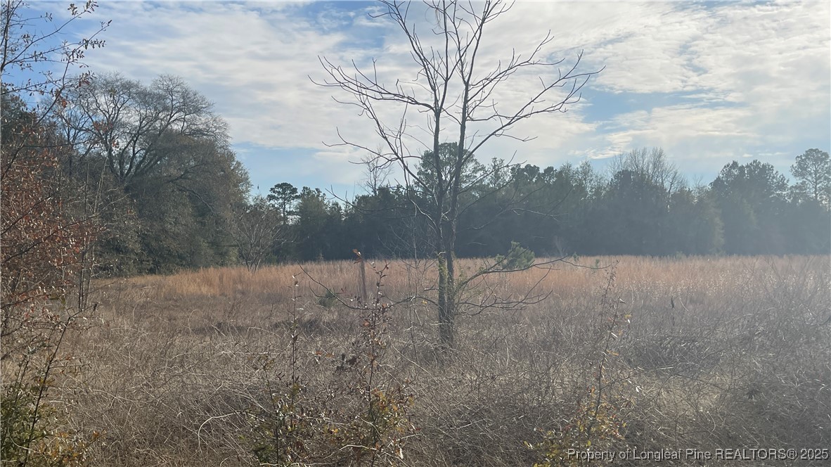 5528 Dudley Road Fayetteville, NC 28312 - Photo 2 of 4