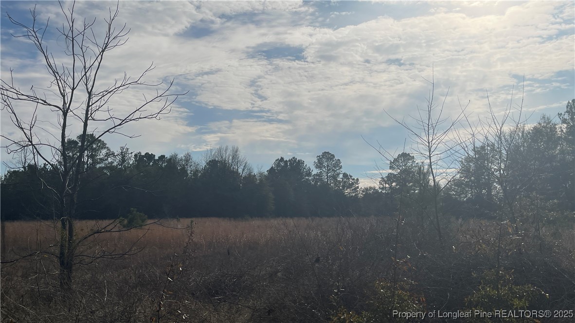 5528 Dudley Road Fayetteville, NC 28312 - Photo 3 of 4