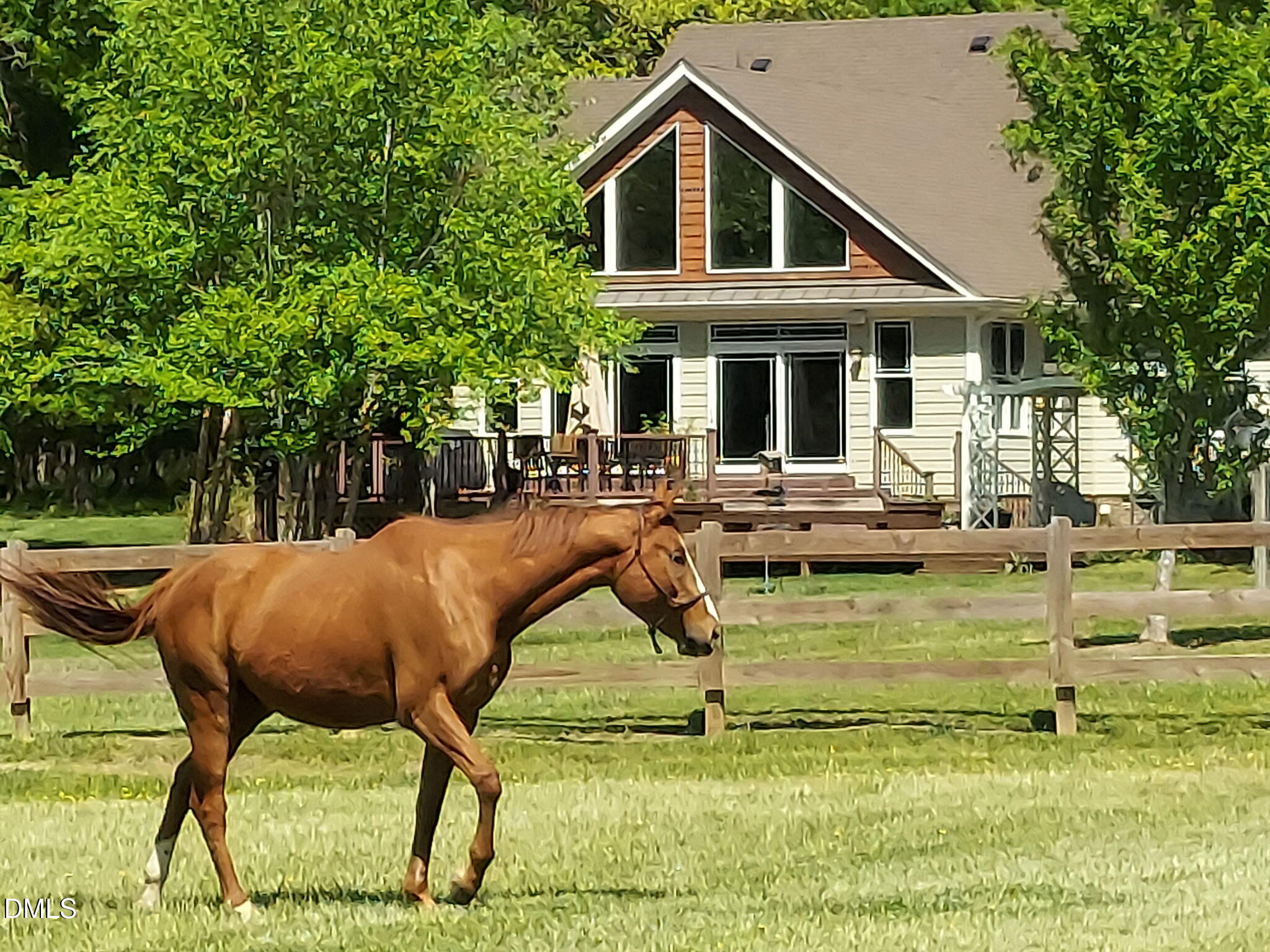 10775 Buffalo Creek Road Rougemont, NC 27572 - Photo 59 of 65 5344526963819609171