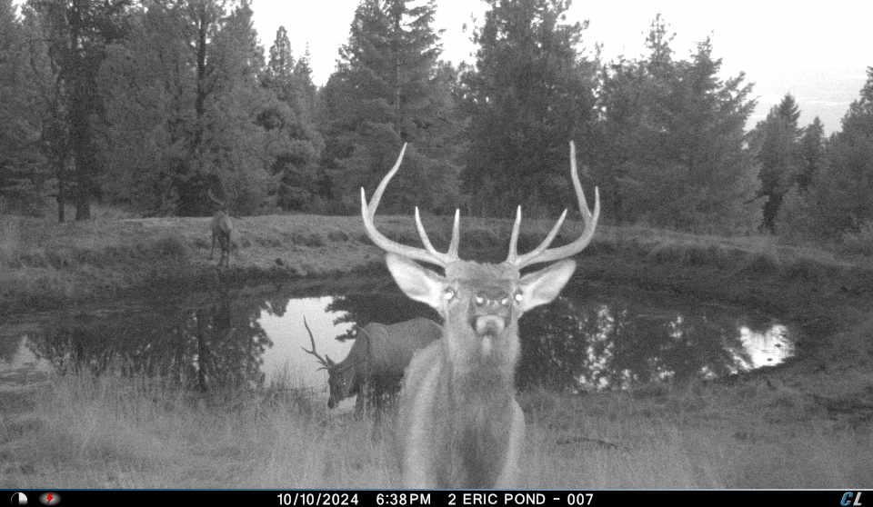 Franks Creek Road Monument, OR 97864 - Photo 18 of 29 IMG_1529