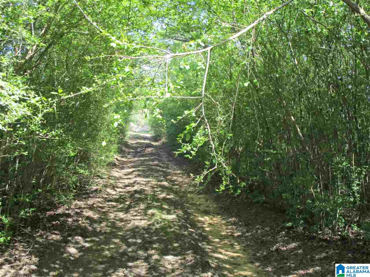 2553 Skyball Road Hayden, AL 35079 - Photo 28 of 33