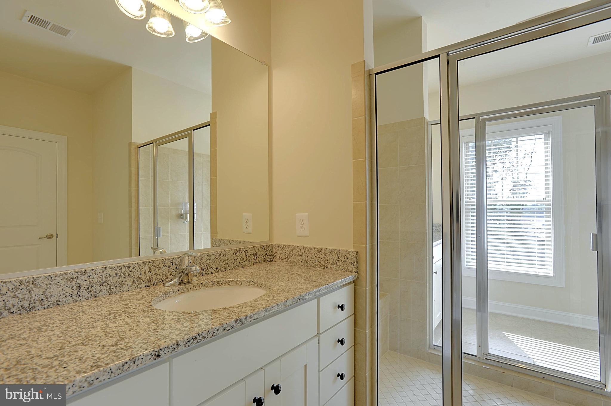 43346 Old Ryan Road Ashburn, VA 20148 - Photo 11 of 25 Master bath w/walk thru shower