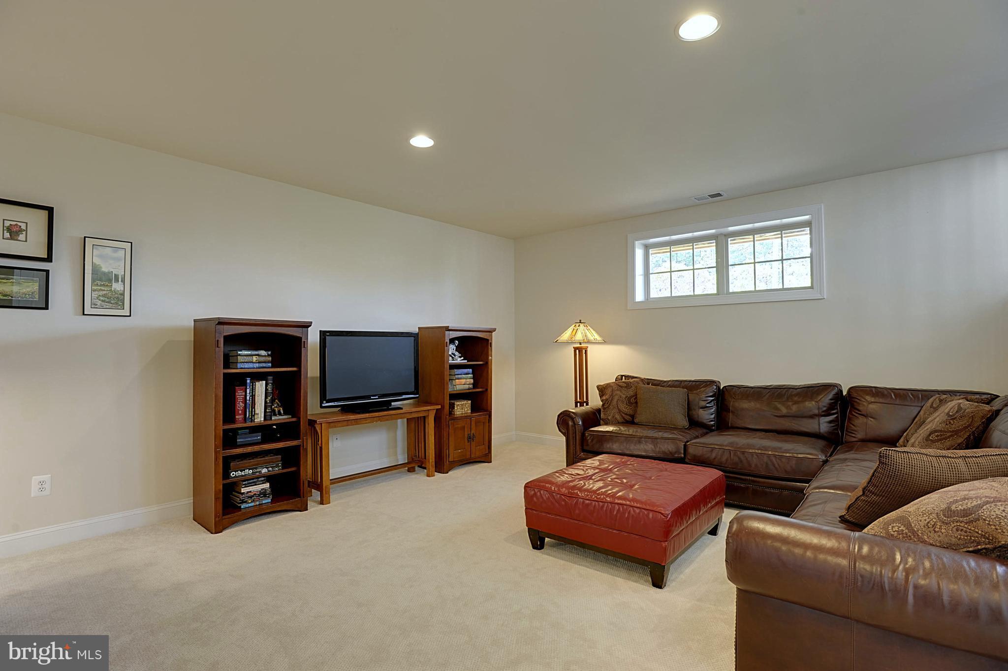 43346 Old Ryan Road Ashburn, VA 20148 - Photo 18 of 25 Lower level recreation room w/door to garage