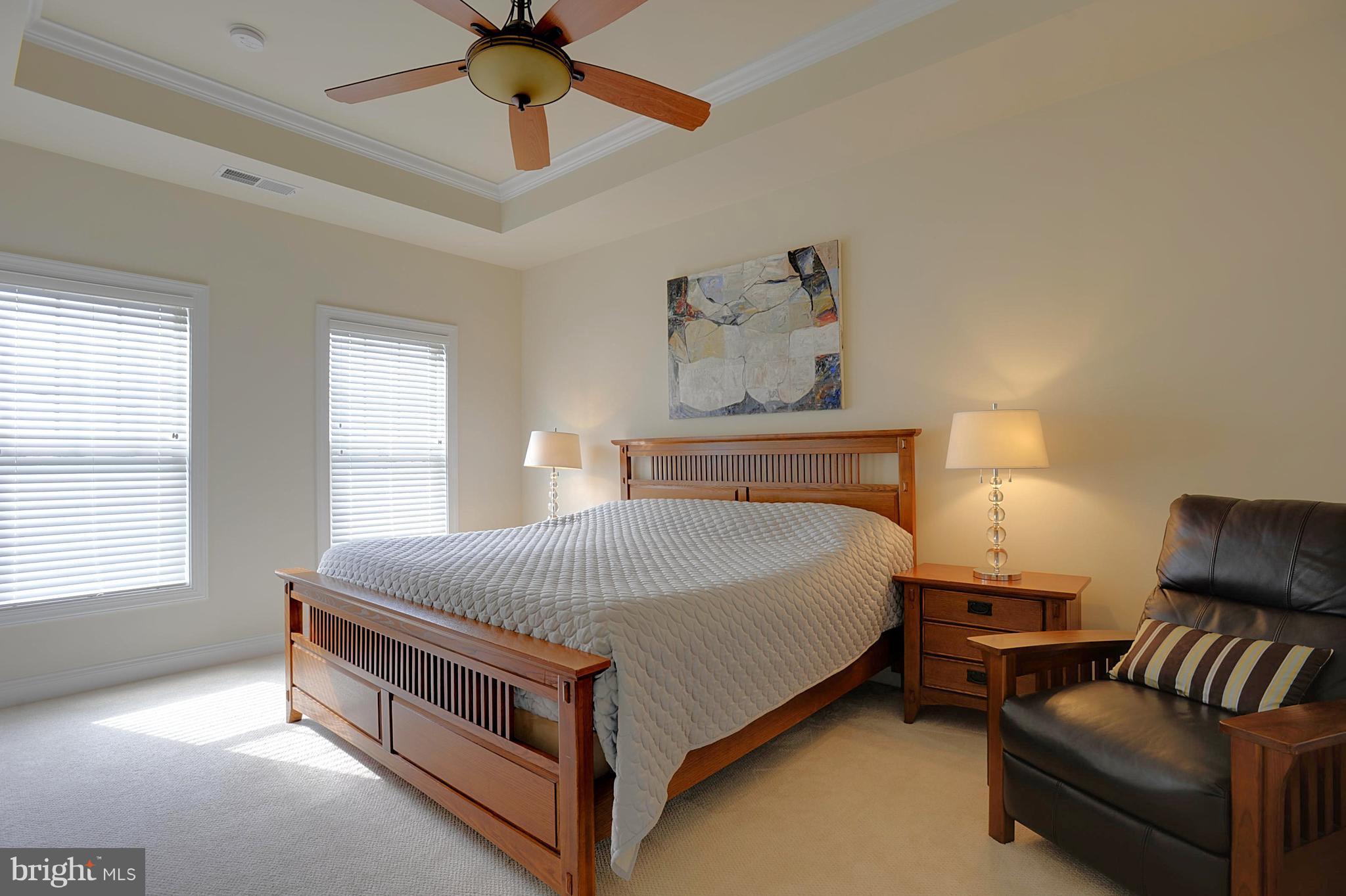 43346 Old Ryan Road Ashburn, VA 20148 - Photo 9 of 25 Master bedroom with trey ceiling and ceiling fan