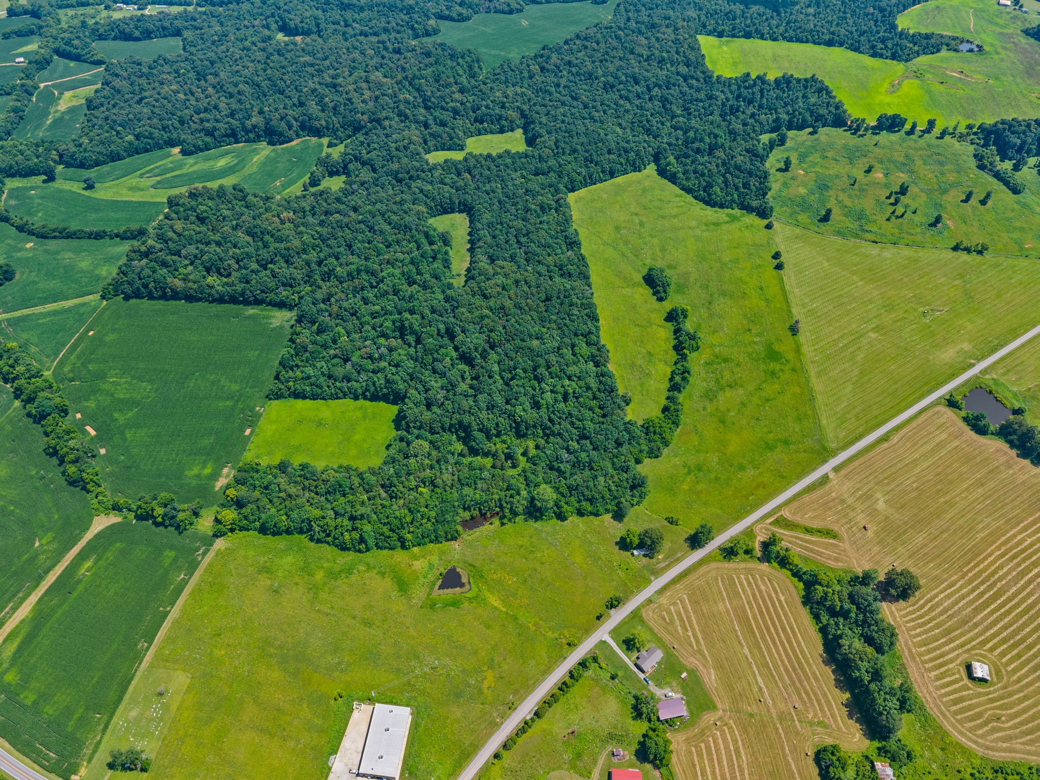 0 Highway 672 Princeton, KY 42445 - Photo 8 of 41