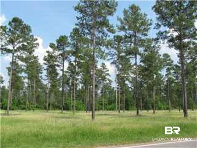 0 Wilmer Tanner Williams Road Wilmer, AL 36587 - Photo 1 of 4