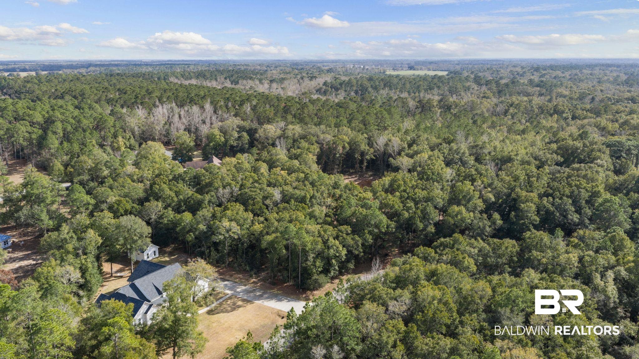 0 Pandion Drive Foley, AL 36535 - Photo 7 of 19