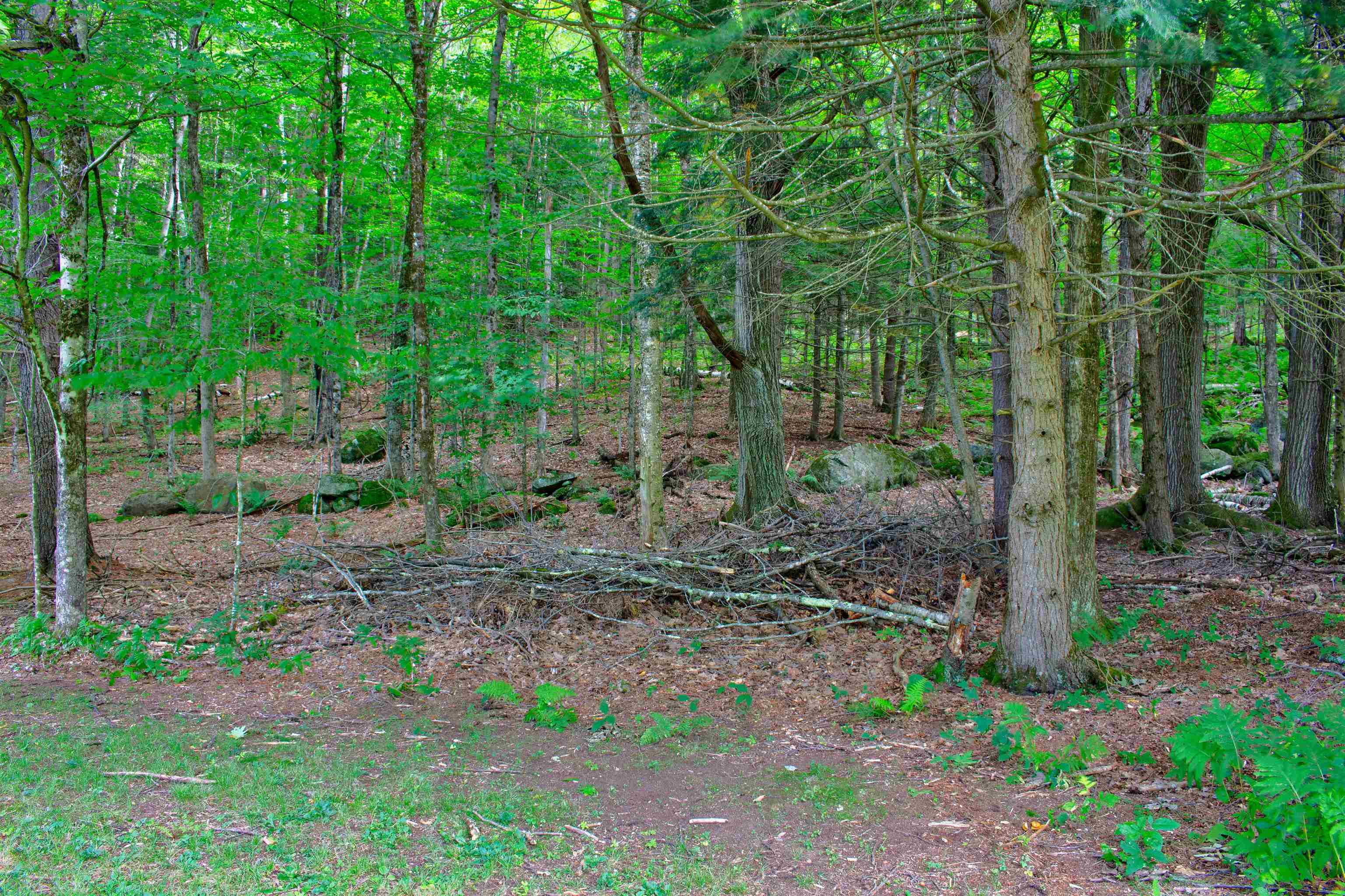 13 Old Sullivan Road Gilsum, NH 03448 - Photo 6 of 47 Gallery Image 6