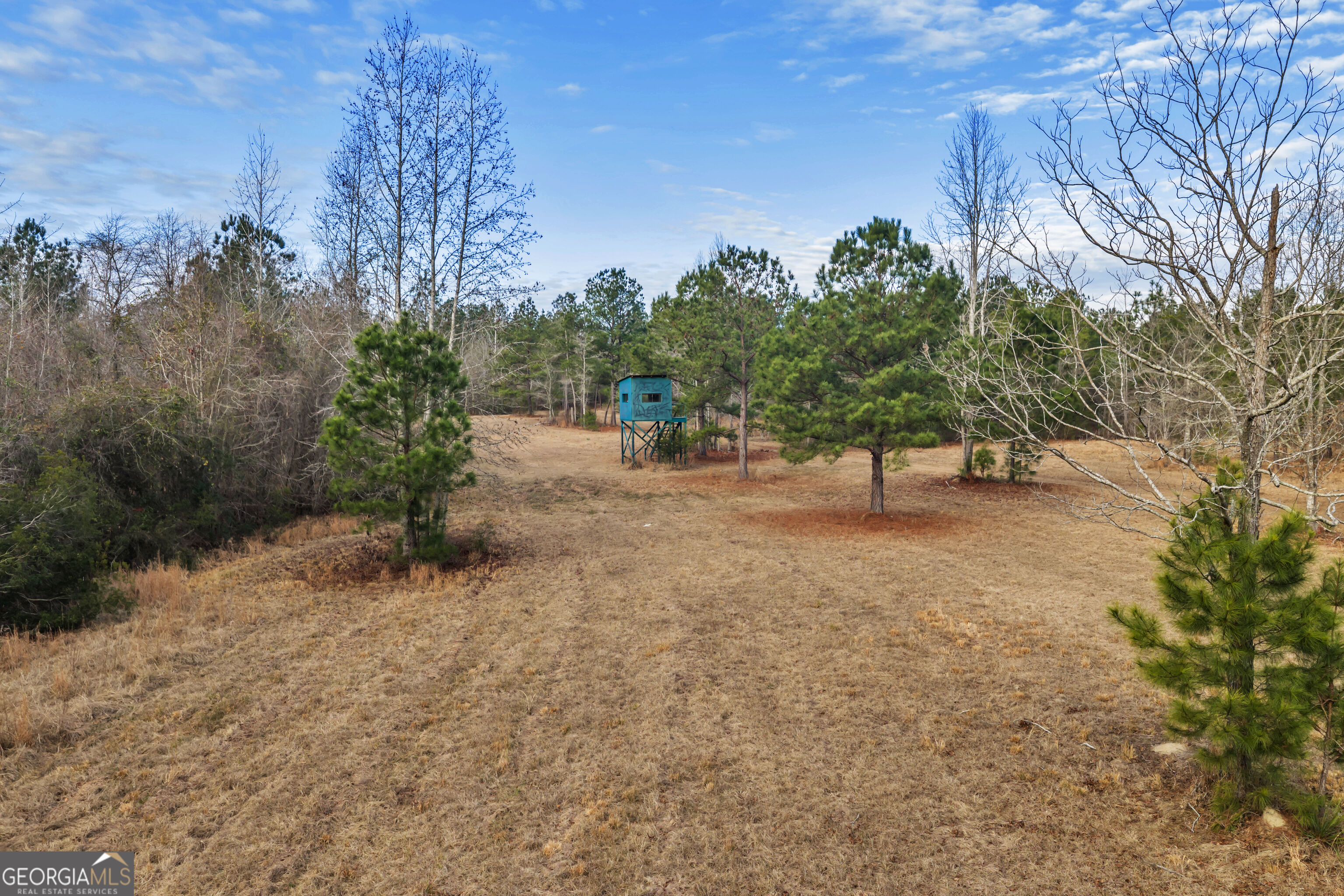 241 Foskey Cemetery Road Adrian, GA 31002 - Photo 26 of 70 Gallery Image 26