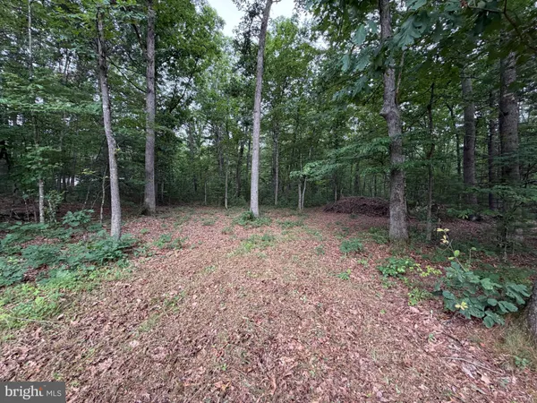 $29,950 | Lot 8-2ac Lot 8-2ac Grizzly Road, Mathias, WV 26812