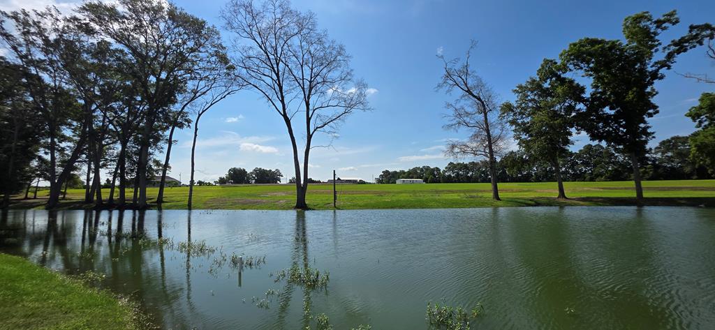 103 Slocomb Al Slocomb, AL 36375 - Photo 7 of 63