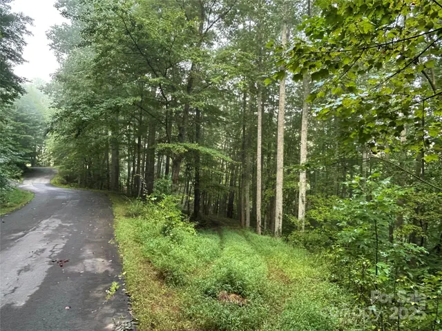 $90,000 | 100 South Lindon Cove Road, Unit 35 36, Candler, NC 28715