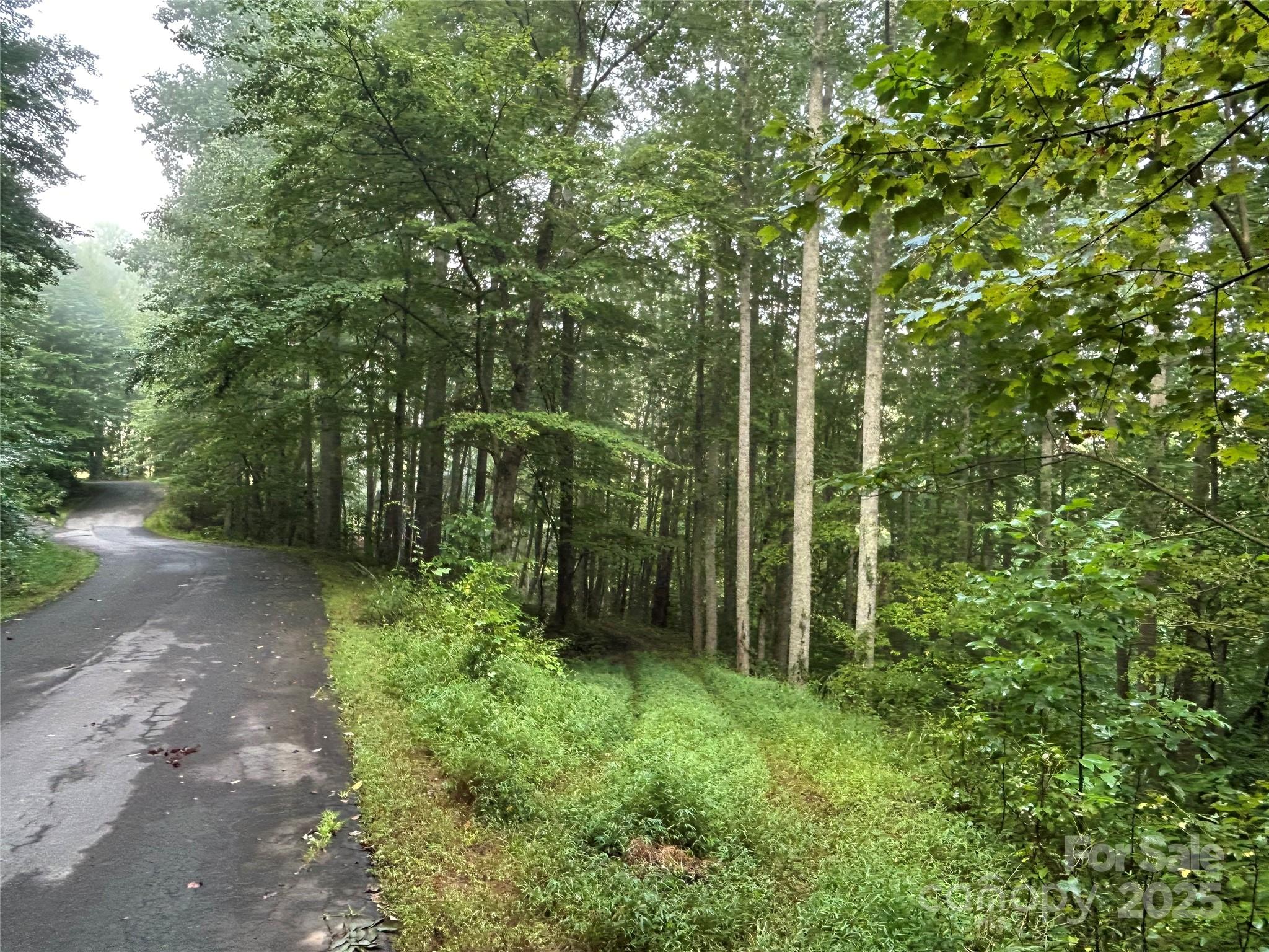 100 South Lindon Cove Road, Unit 35 36 Candler, NC 28715 - Photo 1 of 16