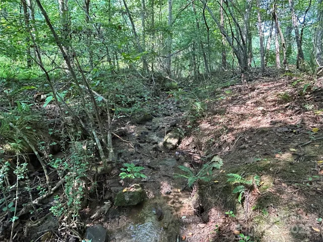 $90,000 | 100 South Lindon Cove Road, Unit 35 36, Candler, NC 28715