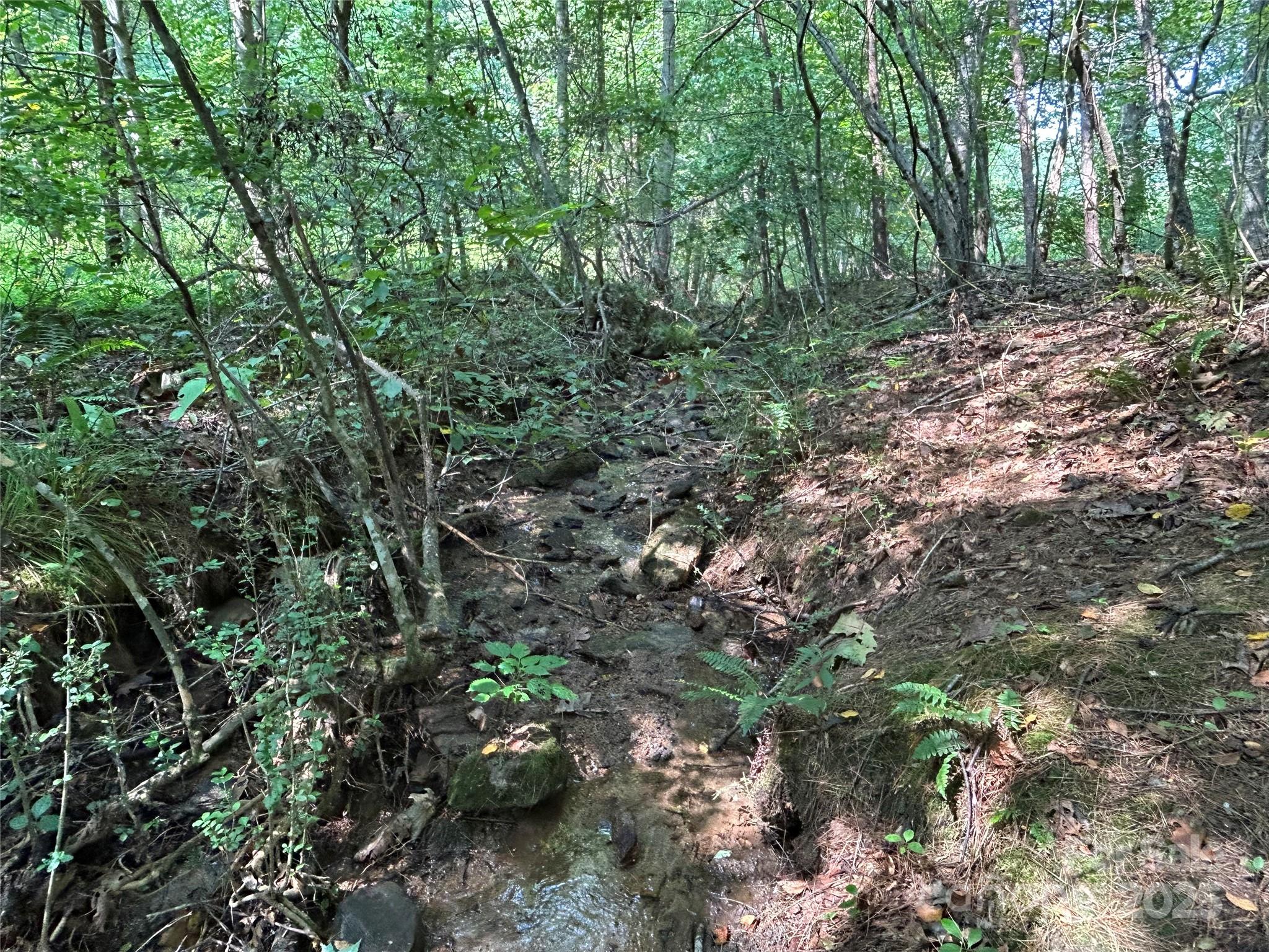 100 South Lindon Cove Road, Unit 35 36 Candler, NC 28715 - Photo 11 of 16