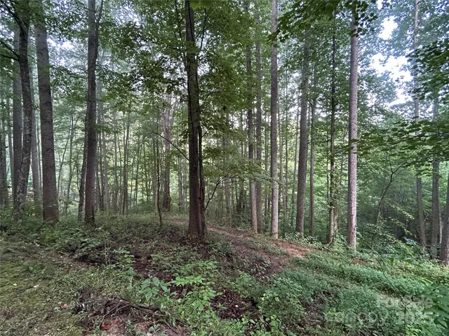 $90,000 | 100 South Lindon Cove Road, Unit 35 36, Candler, NC 28715